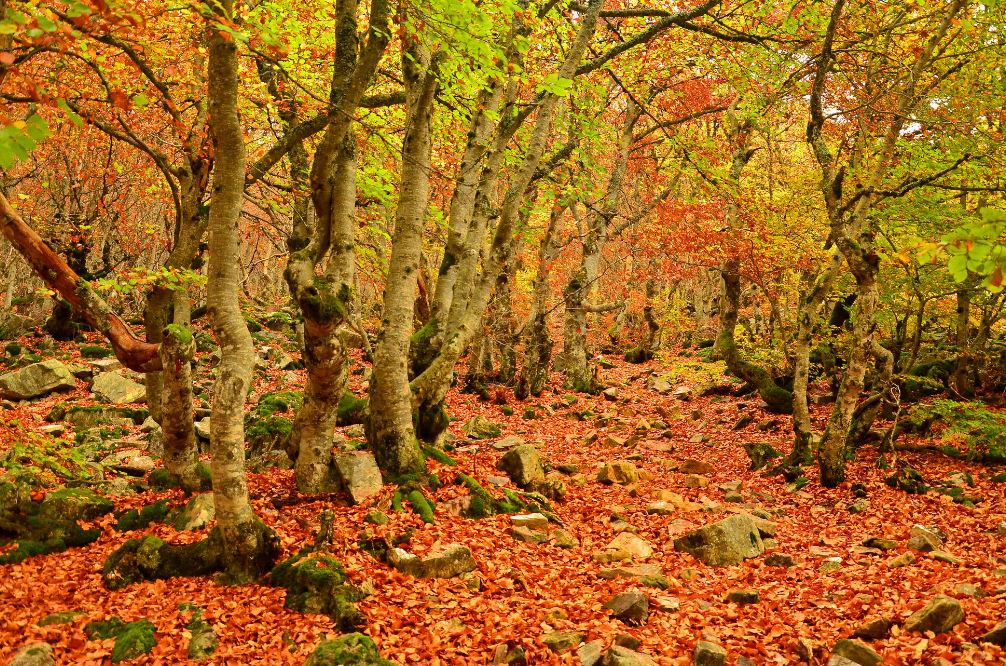 Los pueblos más bonitos de Segovia para estrenar el otoño