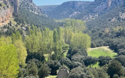 HOCES DEL RIAZA – SENDA ERMITA DEL CASUAR