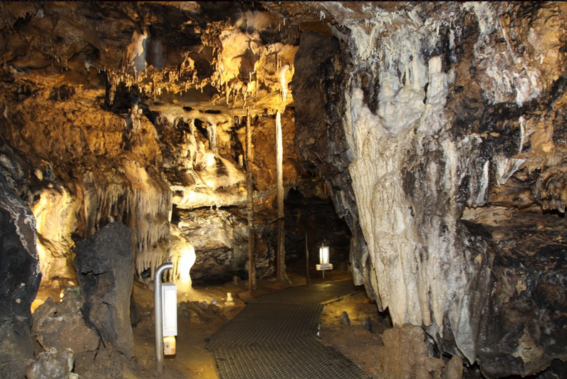 CUEVA DE LOS ENEBRALEJOS EN PRÁDENA
