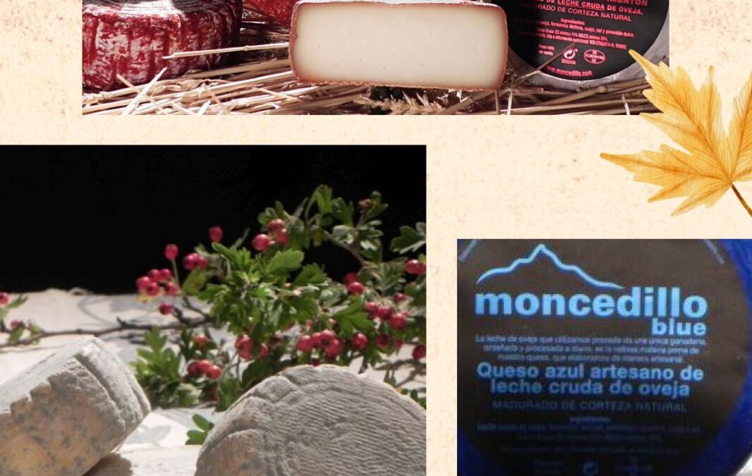 MONCEDILLO. La experiencia que buscabas: una cata íntima y plenamente satisfactoria