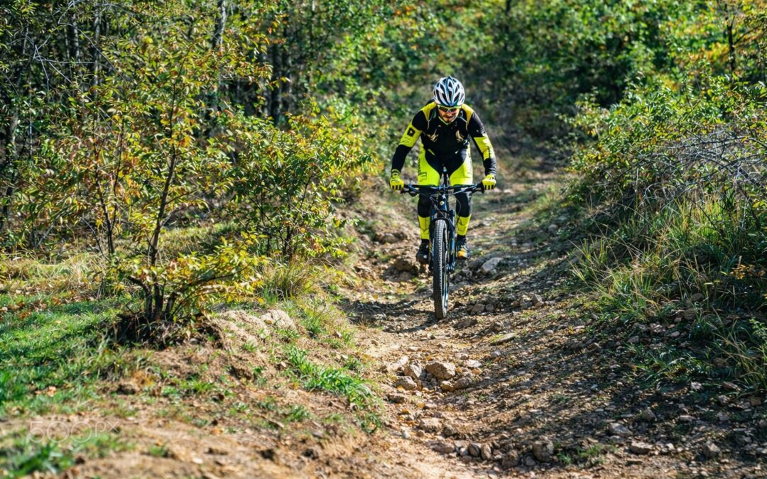 LA CIRCULAR SALVAJE DE RIAZA MTB DE RIAZA