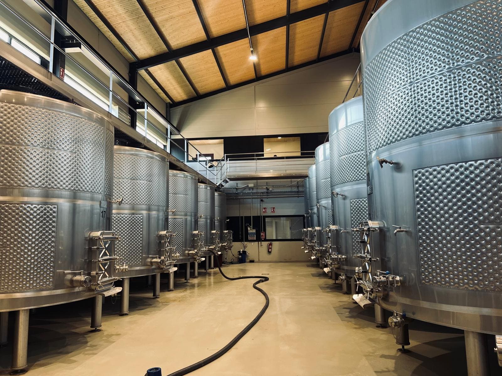 bodega matasnos